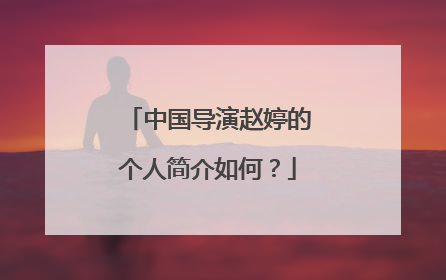 中国导演赵婷的个人简介如何？