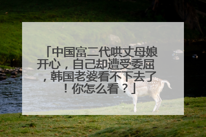中国富二代哄丈母娘开心,自己却遭受委屈,韩国老婆看不下去了!你怎么看?