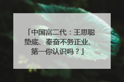 中国富二代：王思聪垫底、秦奋不务正业、第一你认识吗？