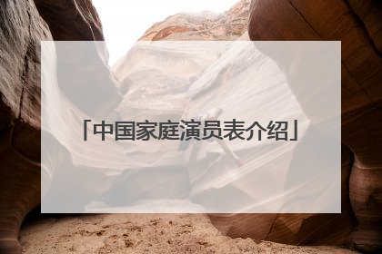 中国家庭演员表介绍