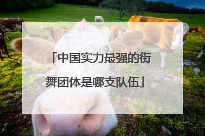 中国实力最强的街舞团体是哪支队伍