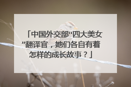 中国外交部“四大美女”翻译官,她们各自有着怎样的成长故事?