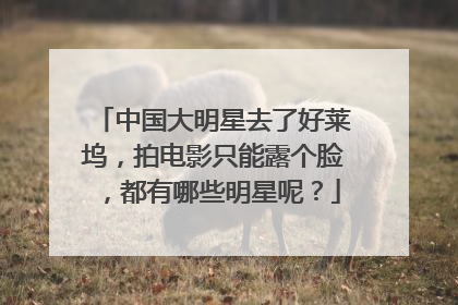 中国大明星去了好莱坞,拍电影只能露个脸,都有哪些明星呢?