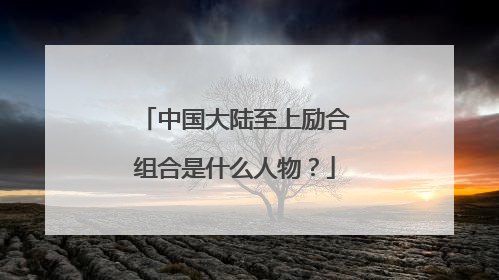 中国大陆至上励合组合是什么人物?