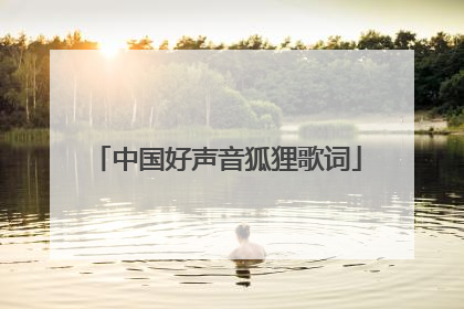 中国好声音狐狸歌词