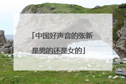中国好声音的张新是男的还是女的