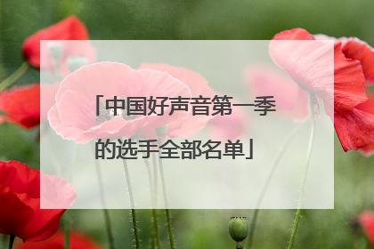 中国好声音第一季的选手全部名单