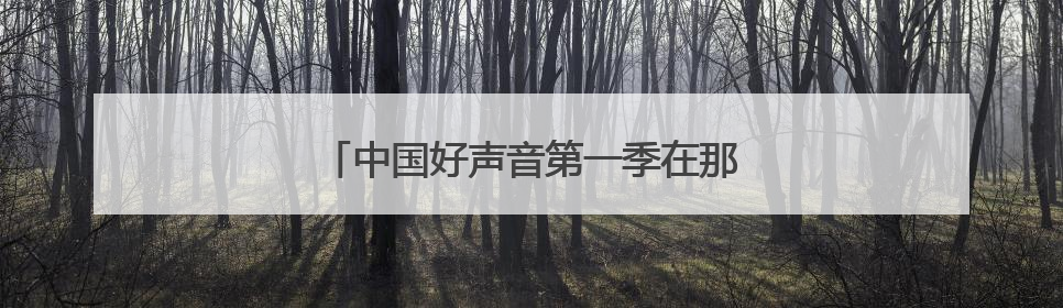 中国好声音第一季在那遥远的地方是谁唱的