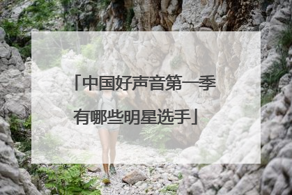 中国好声音第一季有哪些明星选手