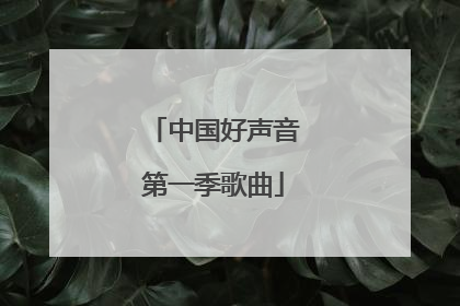 中国好声音第一季歌曲