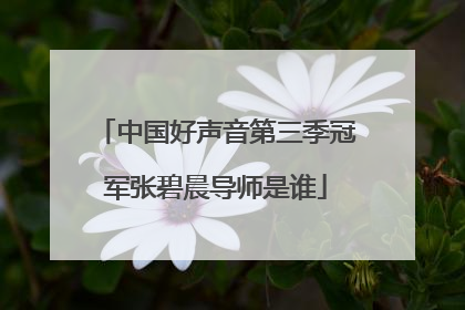 中国好声音第三季冠军张碧晨导师是谁