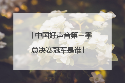 中国好声音第三季总决赛冠军是谁