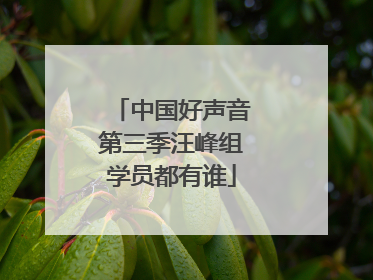 中国好声音第三季汪峰组学员都有谁