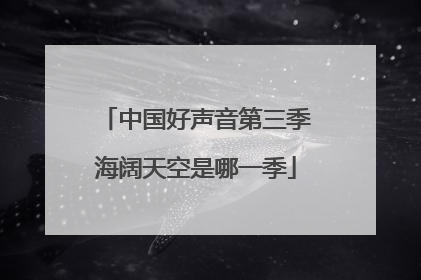 中国好声音第三季海阔天空是哪一季