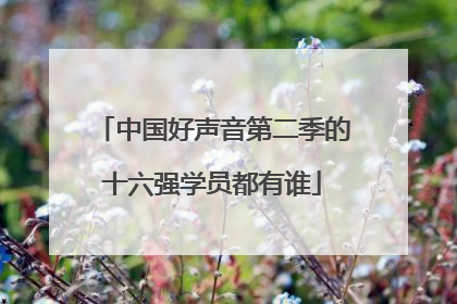 中国好声音第二季的十六强学员都有谁