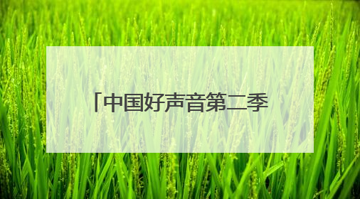 中国好声音第二季第五期那个红头发男的叫什么名字