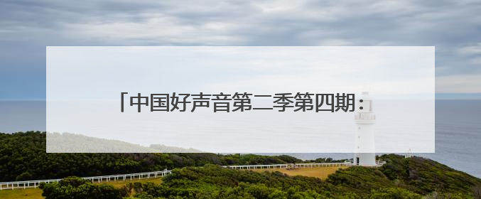 中国好声音第二季第四期:毕夏是谁?毕夏个人资料