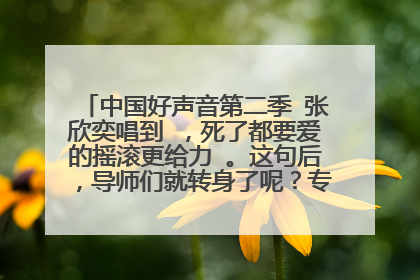 中国好声音第二季 张欣奕唱到 ，死了都要爱的摇滚更给力 。这句后，导师们就转身了呢？专业角度说说谢谢