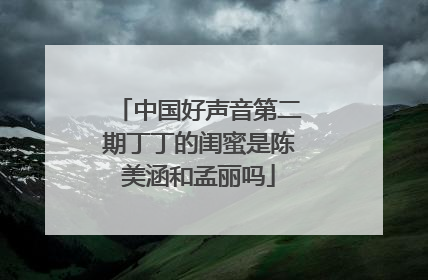中国好声音第二期丁丁的闺蜜是陈美涵和孟丽吗