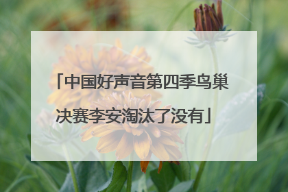 中国好声音第四季鸟巢决赛李安淘汰了没有