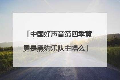 中国好声音第四季黄勇是黑豹乐队主唱么