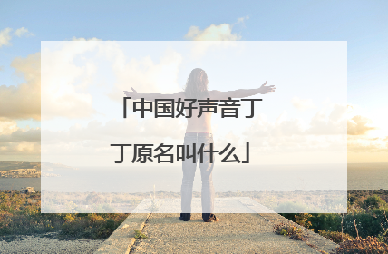 中国好声音丁丁原名叫什么