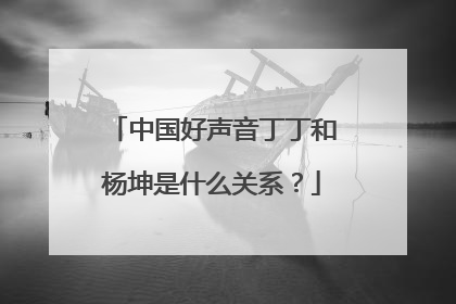 中国好声音丁丁和杨坤是什么关系？