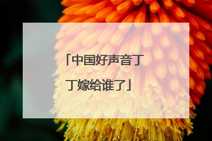 中国好声音丁丁嫁给谁了