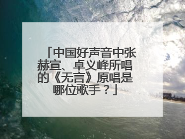 中国好声音中张赫宣、卓义峰所唱的《无言》原唱是哪位歌手？