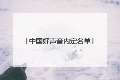 中国好声音内定名单