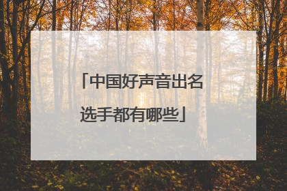 中国好声音出名选手都有哪些