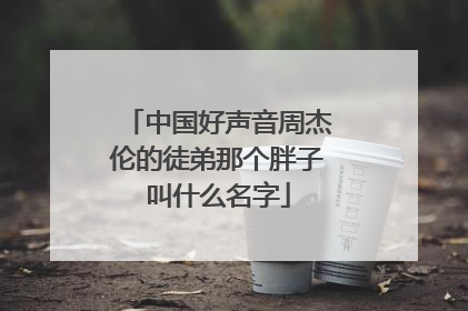 中国好声音周杰伦的徒弟那个胖子叫什么名字