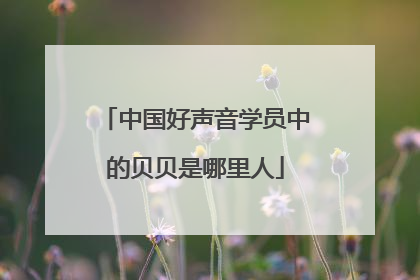 中国好声音学员中的贝贝是哪里人