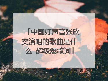 中国好声音张欣奕演唱的歌曲是什么 超级爆歌词