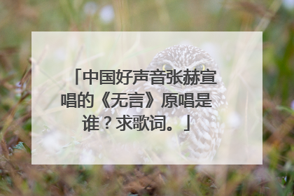 中国好声音张赫宣唱的《无言》原唱是谁？求歌词。