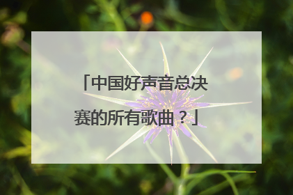 中国好声音总决赛的所有歌曲?