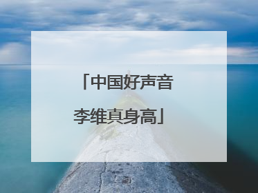 中国好声音李维真身高
