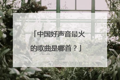 中国好声音最火的歌曲是哪首？