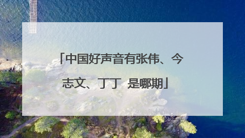 中国好声音有张伟、今志文、丁丁 是哪期