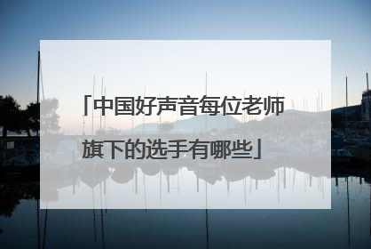 中国好声音每位老师旗下的选手有哪些