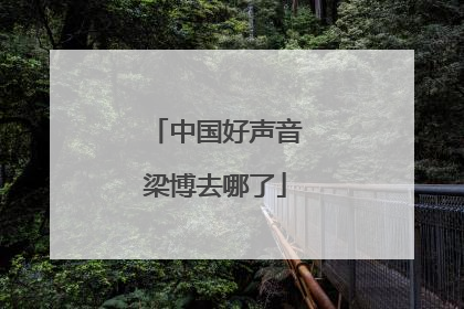 中国好声音梁博去哪了