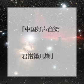 中国好声音梁君诺第几期