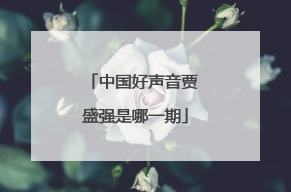 中国好声音贾盛强是哪一期