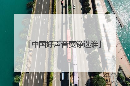 中国好声音贾铮选谁