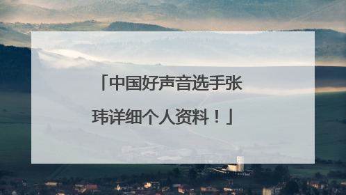 中国好声音选手张玮详细个人资料!