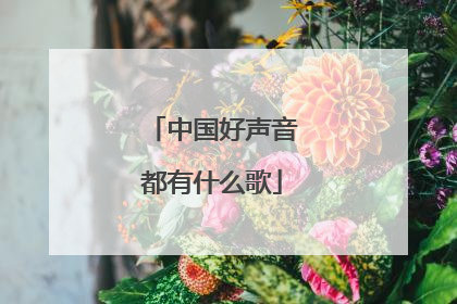 中国好声音都有什么歌