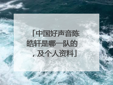 中国好声音陈皓轩是哪一队的,及个人资料