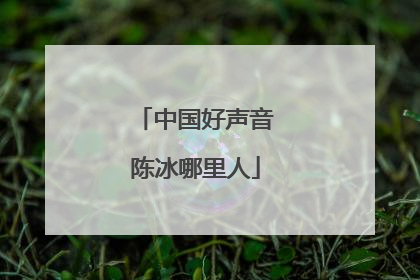 中国好声音陈冰哪里人