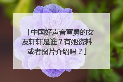 中国好声音黄勇的女友轩轩是谁？有她资料或者图片介绍吗？