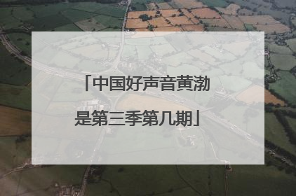 中国好声音黄渤是第三季第几期